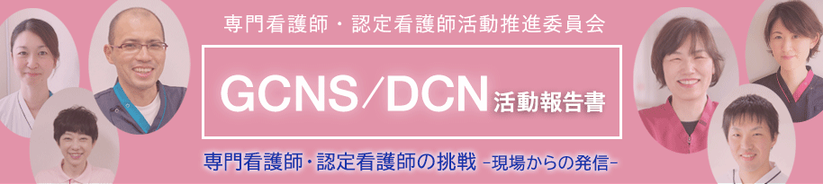 GCNS/DCN活動報告書