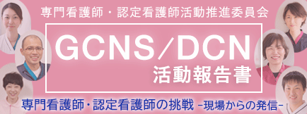 GCNS/DCN活動報告書